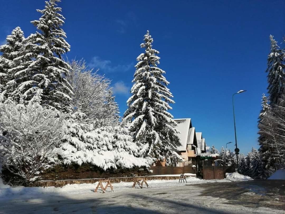 Pensiunea Colina Poiana Brașov Zewnętrze zdjęcie