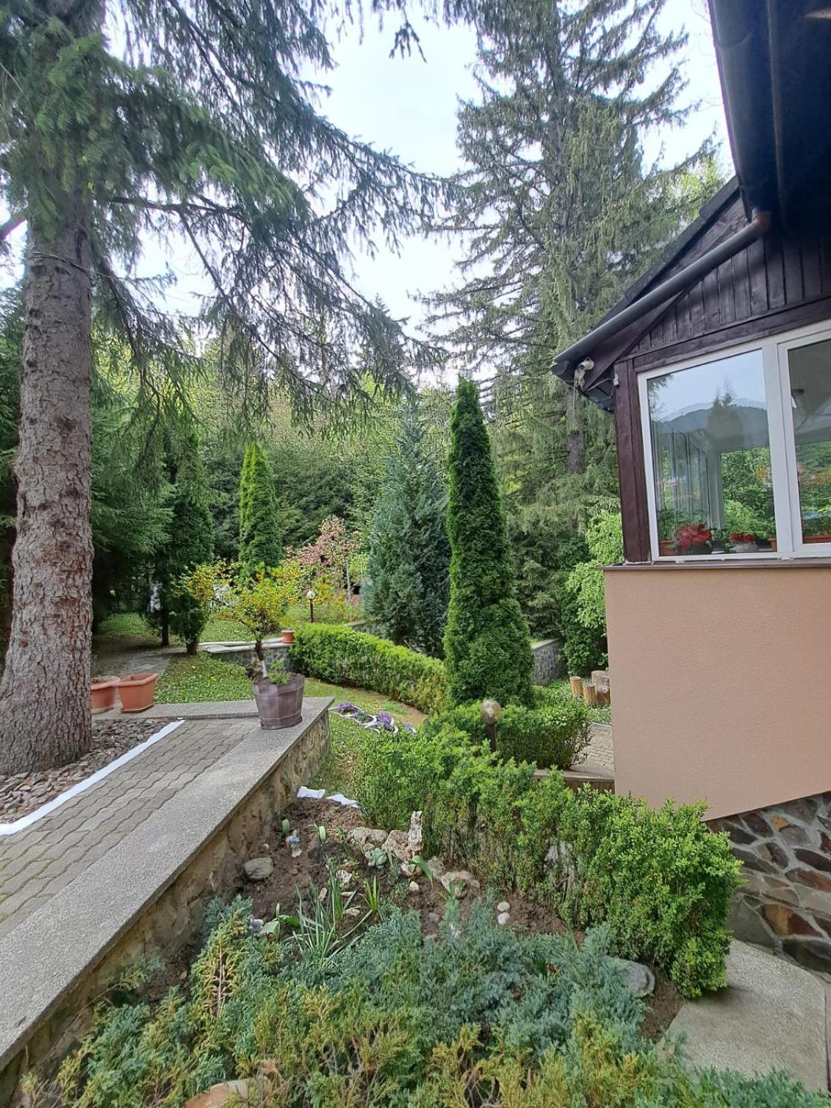 Pensiunea Colina Poiana Brașov Zewnętrze zdjęcie