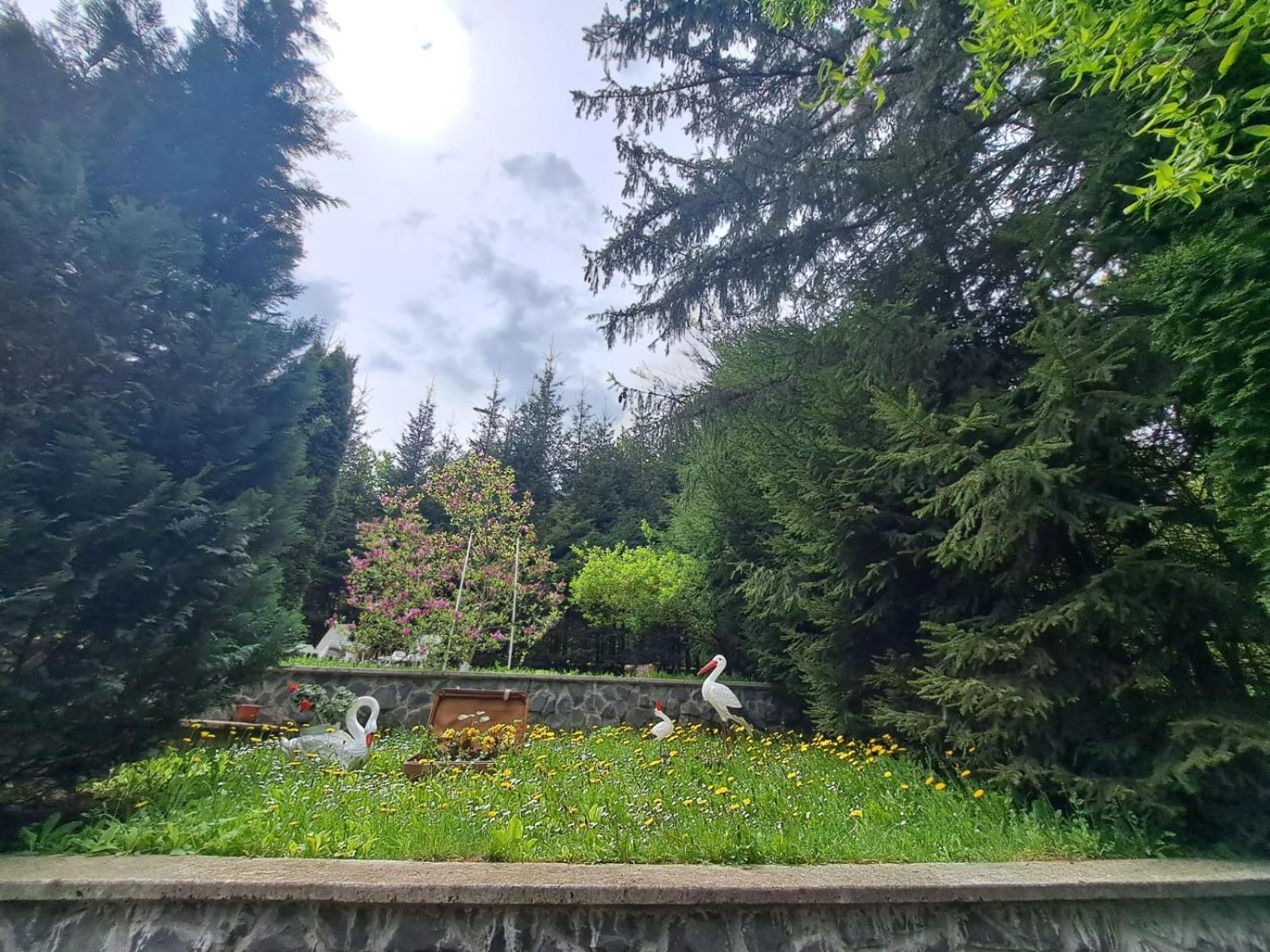 Pensiunea Colina Poiana Brașov Zewnętrze zdjęcie