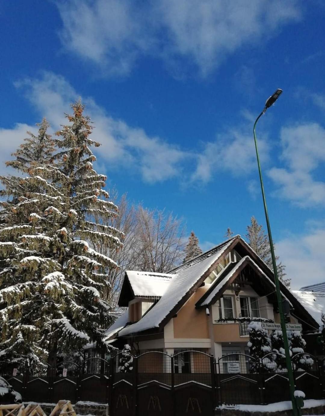 Pensiunea Colina Poiana Brașov Zewnętrze zdjęcie