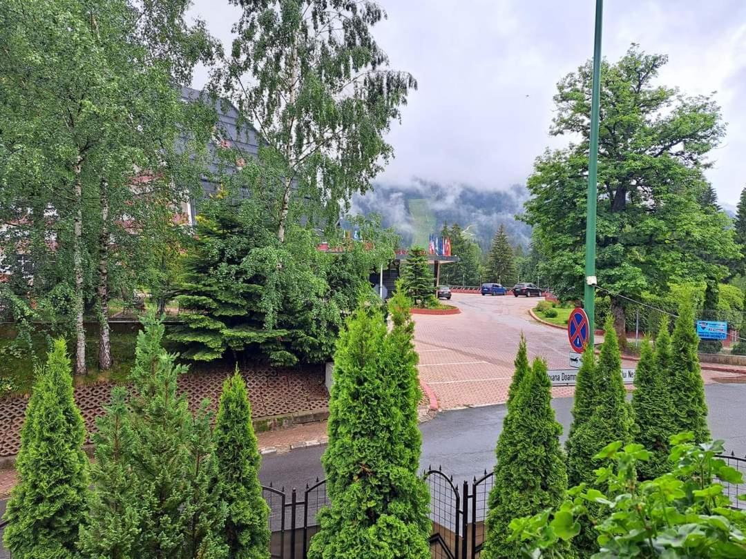 Pensiunea Colina Poiana Brașov Zewnętrze zdjęcie